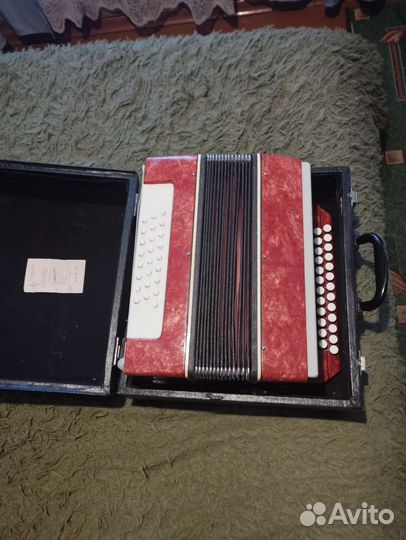 Гармонь норыч 2