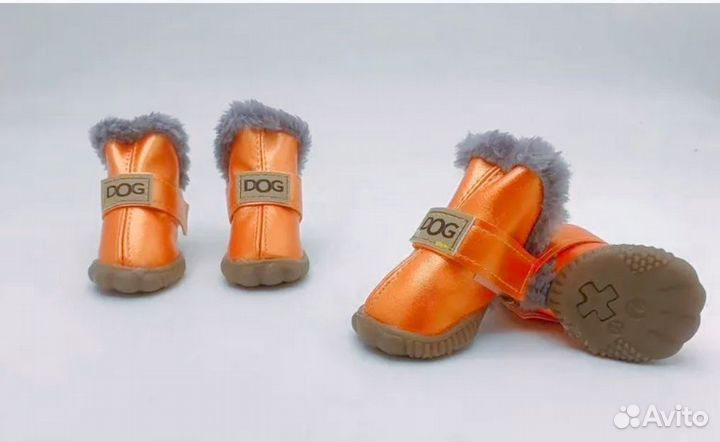 Зимняя обувь для собак