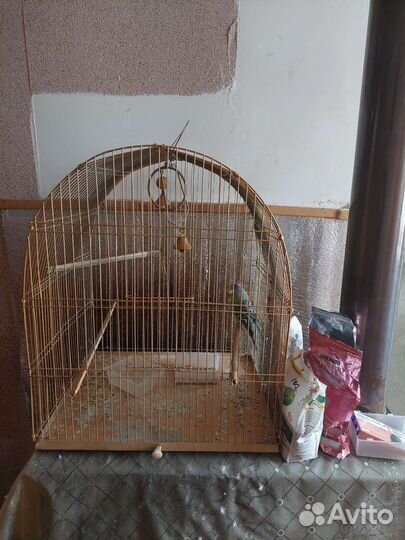 Клетка с попугаями