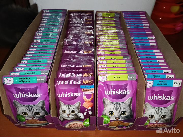 Влажный корм для кошек