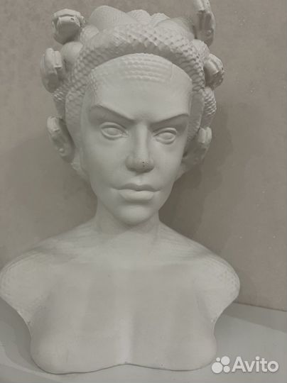 Статутка «Медуза»