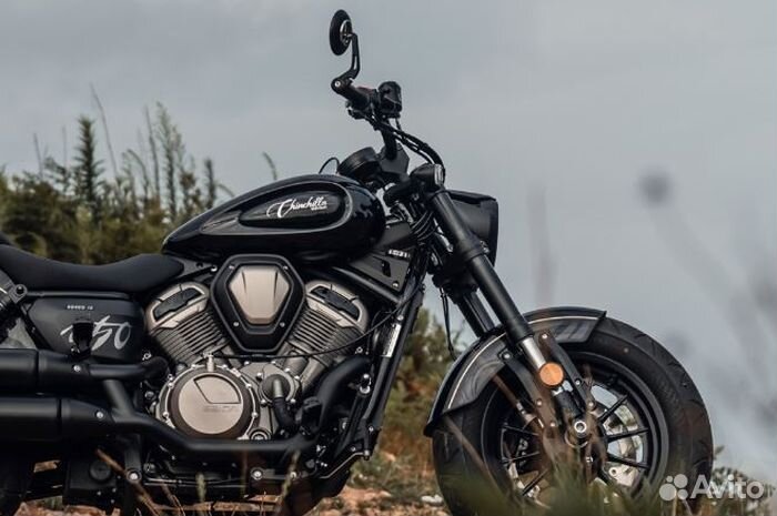 Benda Chinchilla 500