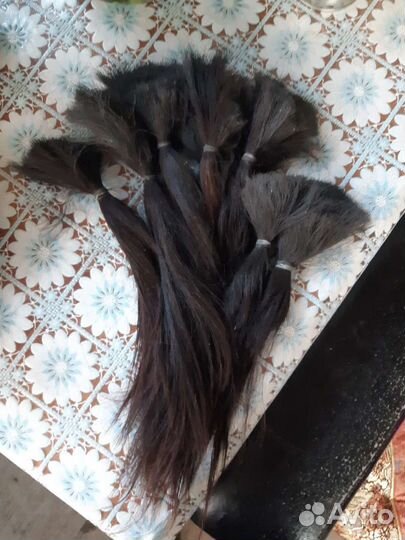 Грива лошади