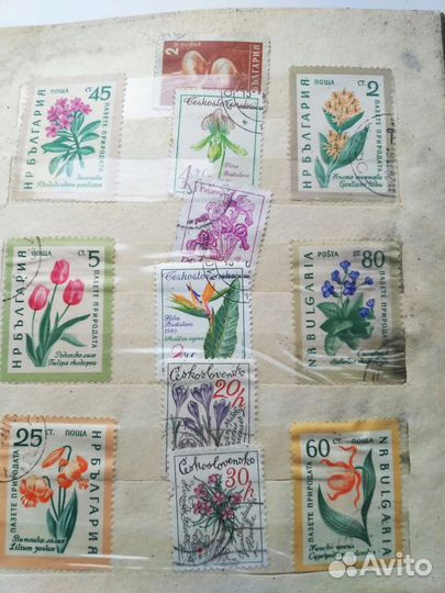 Марки Болгария, ддр Цветы 80 годов