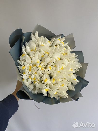 Букет из белых ирисов