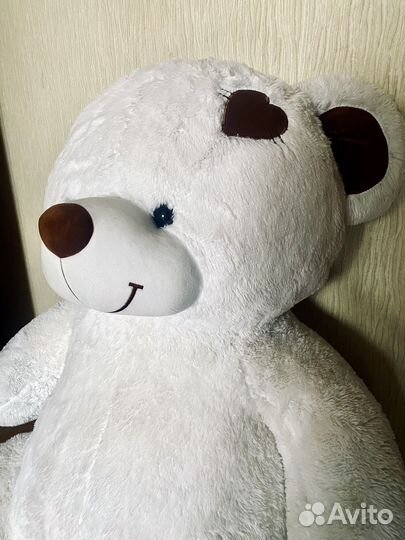 Плюшевый медведь