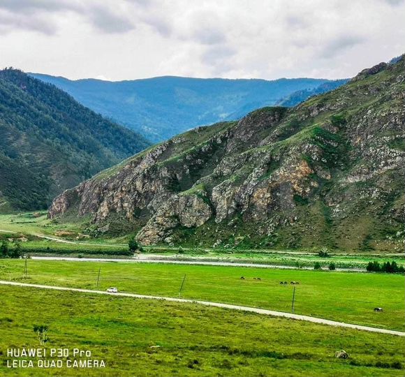 Участок 60 сот. (ИЖС)