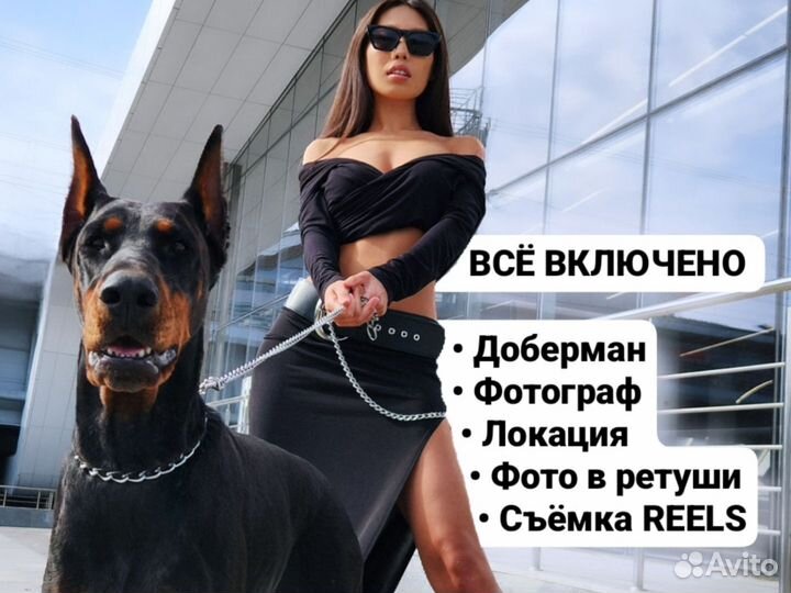 Фотосессия с доберманом