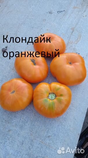 Семена томатов