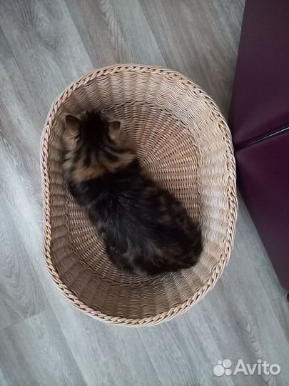 Лежанка для собаки или кошки