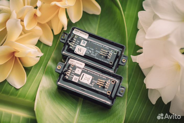 Seymour Duncan AHB-1 Blackouts Set