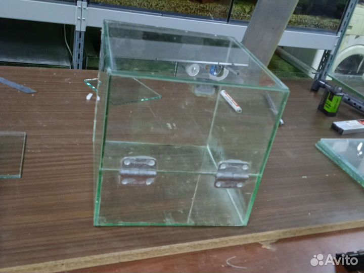 Аквариум и террариум