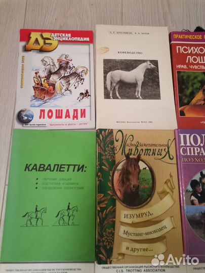 Книги о лошадях (содержание, уход)