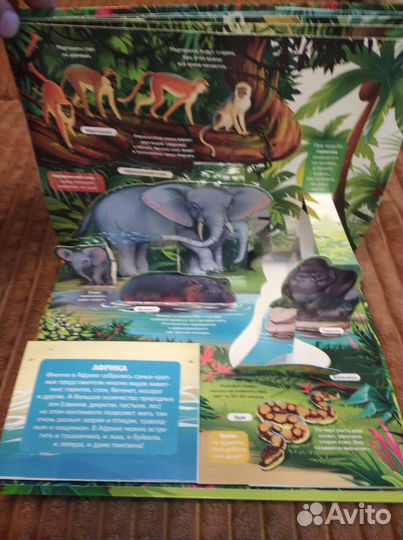 Энциклопедия с объемными элементами POP UP