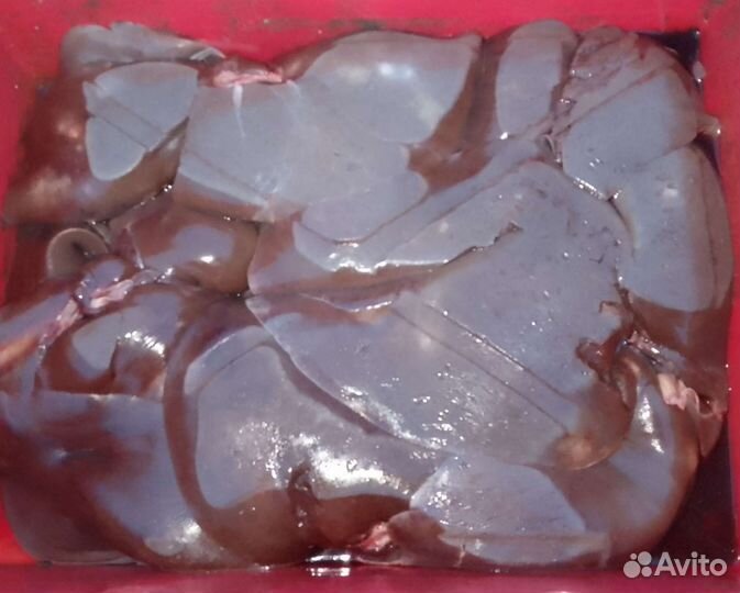 Еда для собак