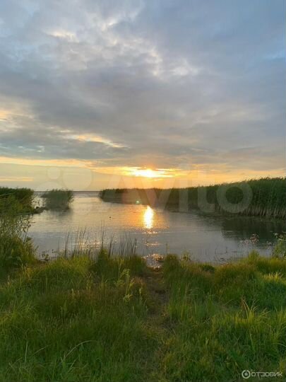 Участок 56 сот. (ИЖС)