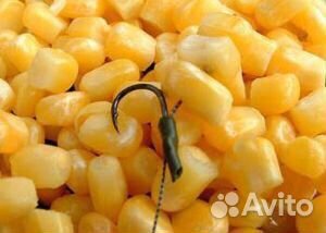 Ферментированная (пьяная) кукуруза для рыбалки