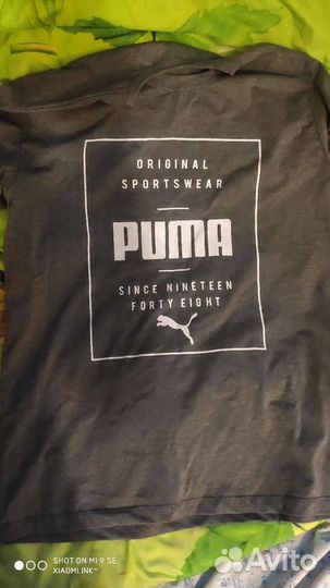 Puma