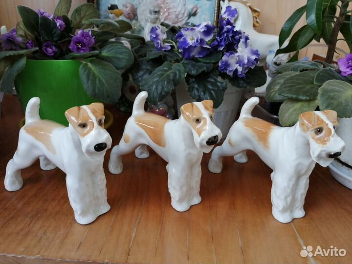 Собака фокстерьер лфз СССР