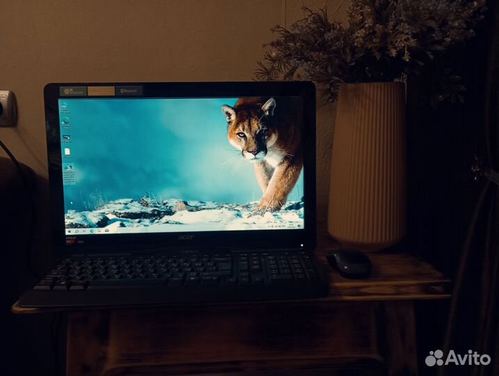 Моноблок asus