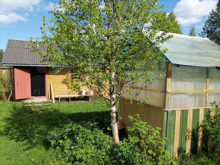 Дача 50 м² на участке 12 сот.