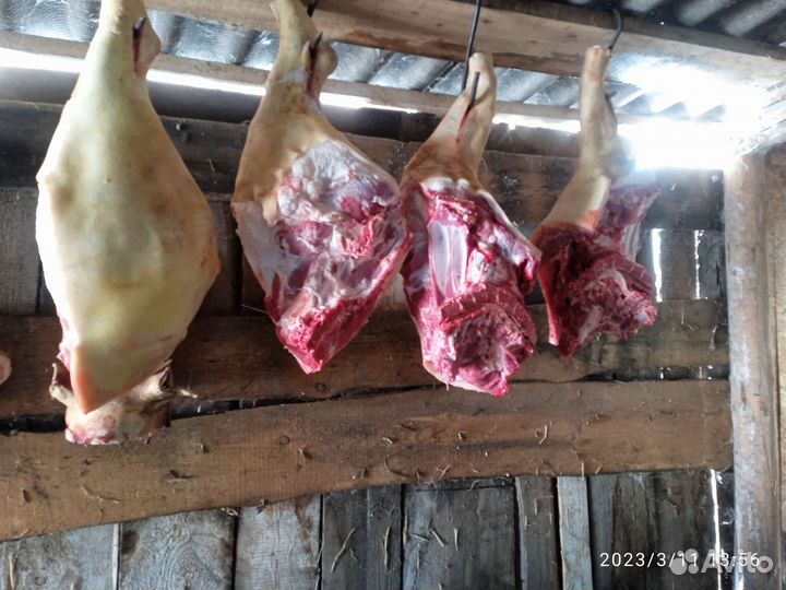 Мясо свинина с лпх