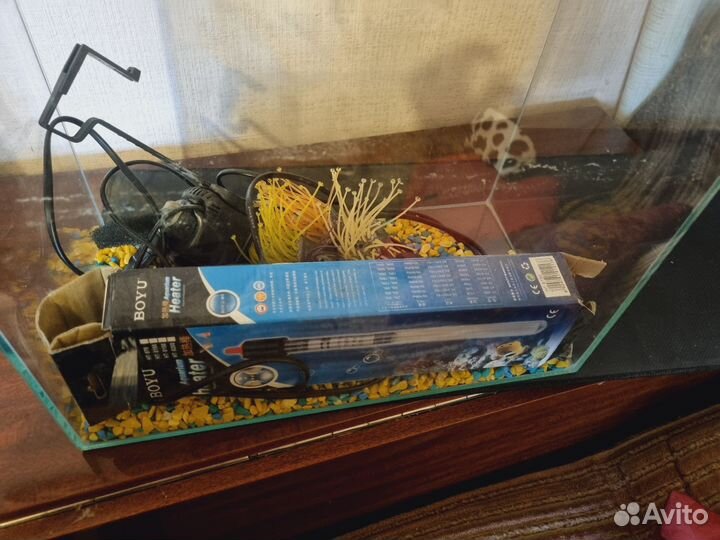 Аквариум с необходимым