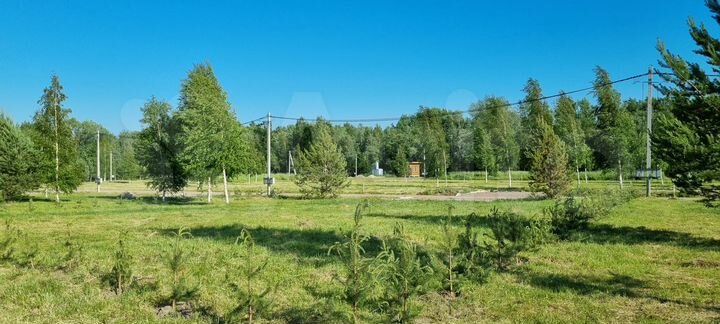 Участок 8,4 сот. (СНТ, ДНП)