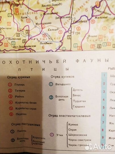 Карта для охотников и рыболовов