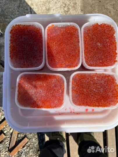 Продам крассную икру 2023