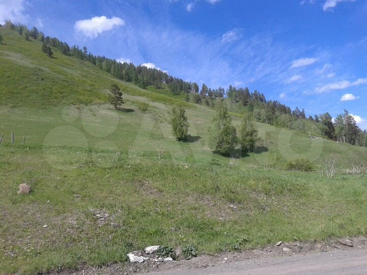 Участок 20 сот. (СНТ, ДНП)