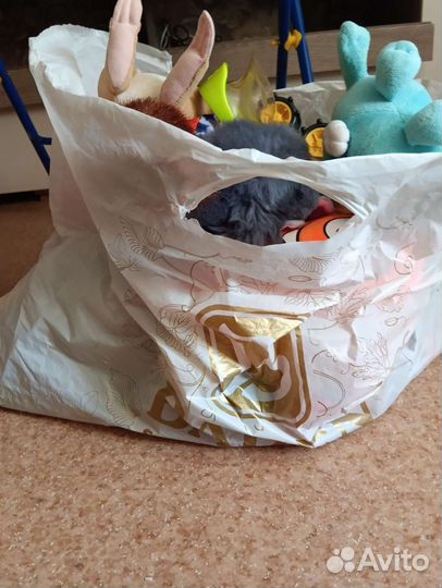 Огромный пакет и коробка с игрушками, описание