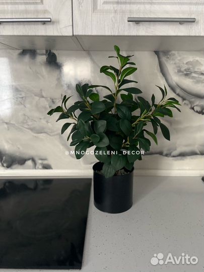 Искусственное дерево/куст Фикус