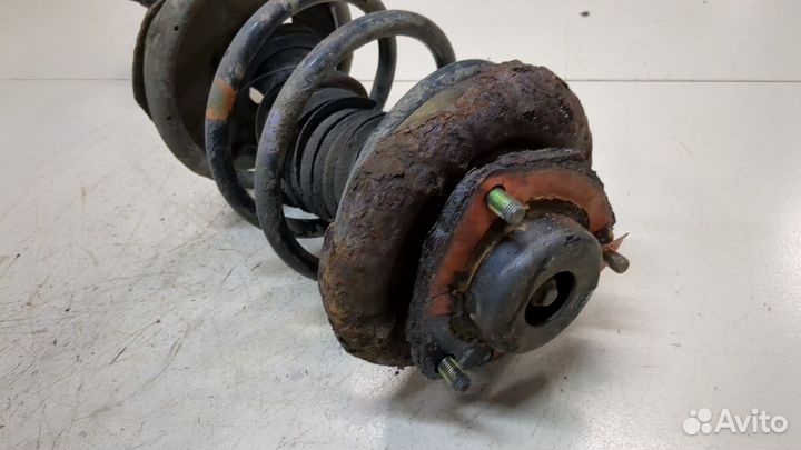 Амортизатор подвески Nissan X-Trail (T30), 2006