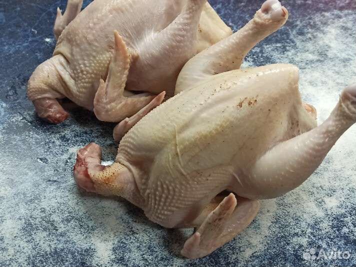 Мясо домашней птицы с доставкой