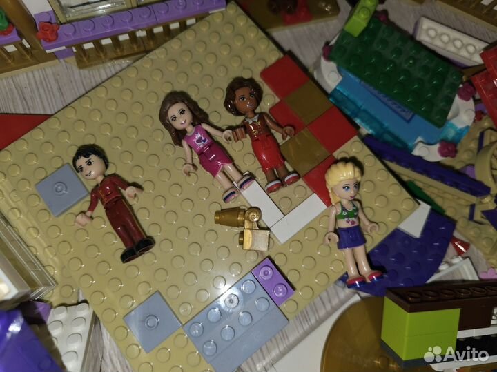 Lego Friends 41101