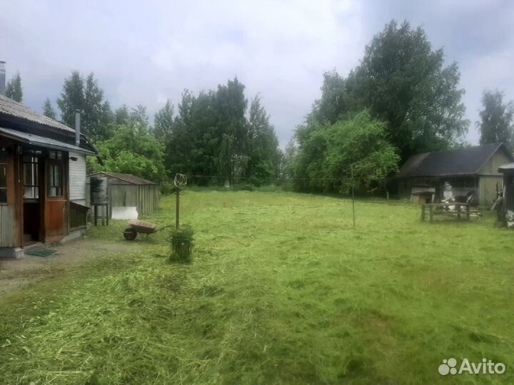 Покос травы