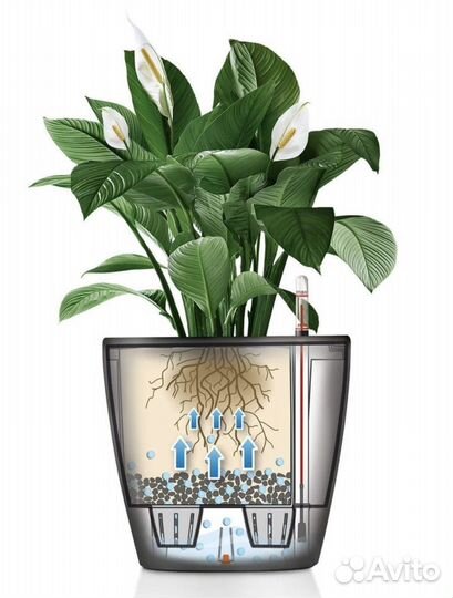 Цветочный горшок lechuza classico Color 35 б/у