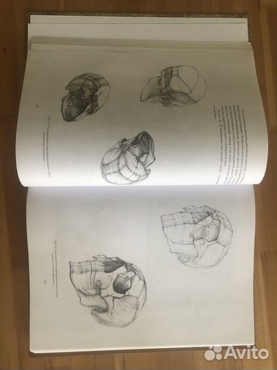 Голова человека Николай Ли учебное пособие