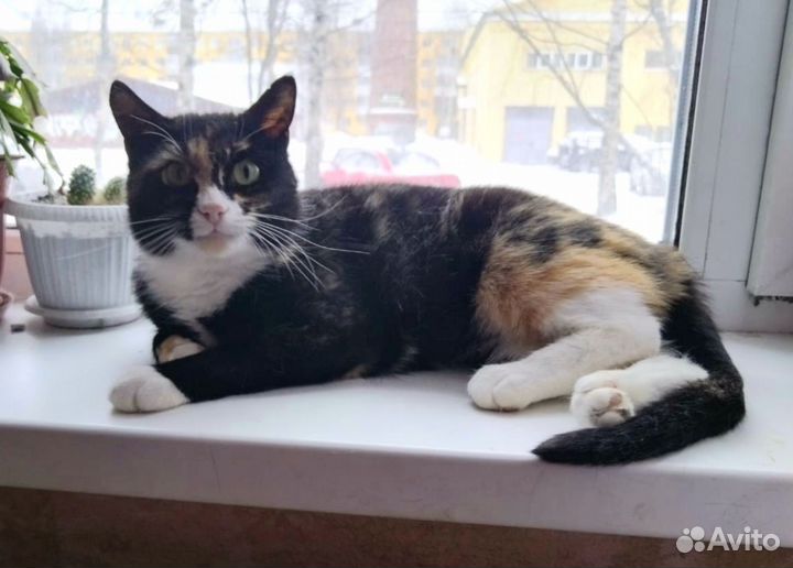 Подарите дом