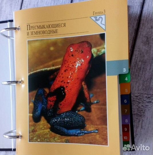 В мире дикой природы (энциклопедия) 2 папки