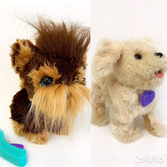 Питомцы Furreal Friends (на фото не все)