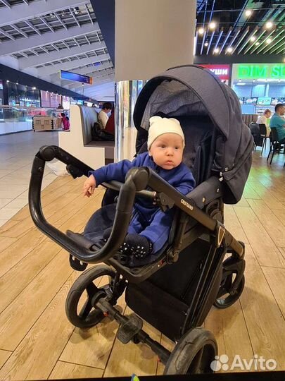 Коляска 2 в 1 adamex