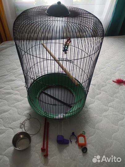 Клетка для попугая