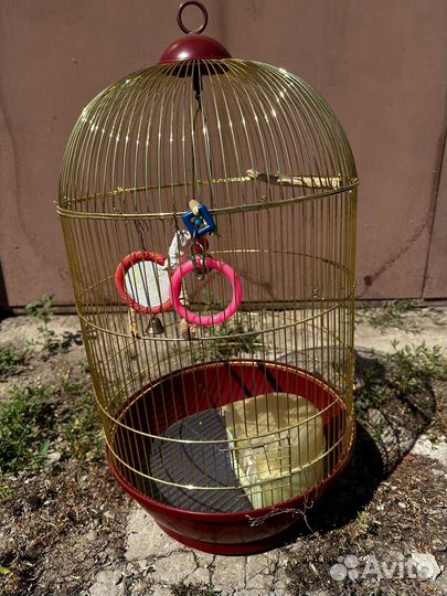 Большая клетка для птиц