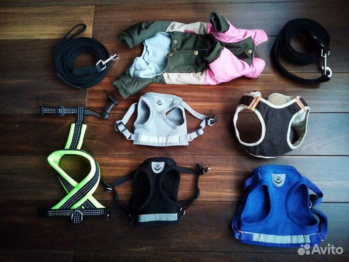 Шлейка для собак и кошек, комбинезон, поводки