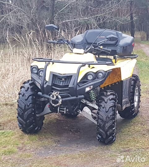 Квадроцикл динли 800