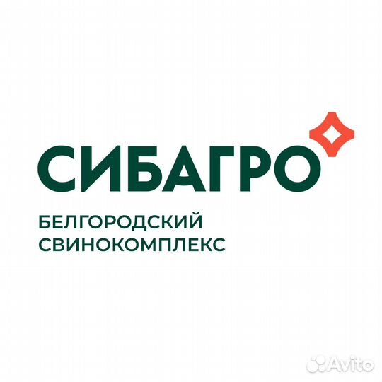 Кладовщик