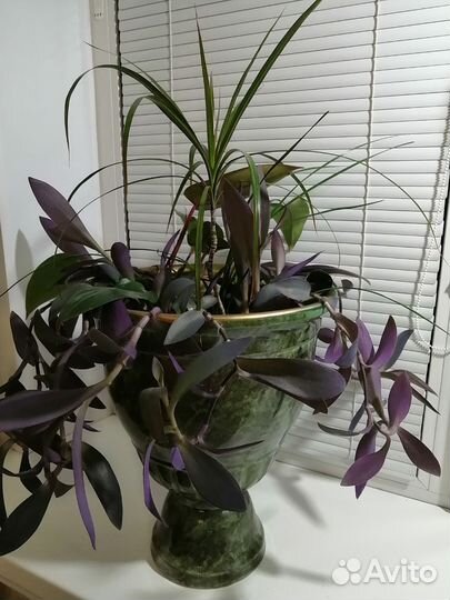 Цветочная композиция