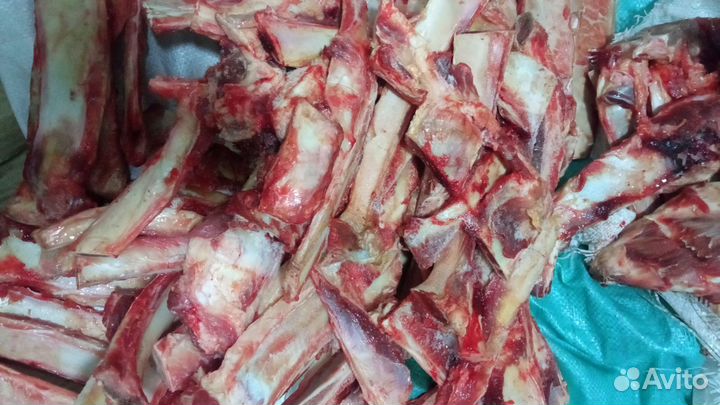 Мясо, субпродукты для собак